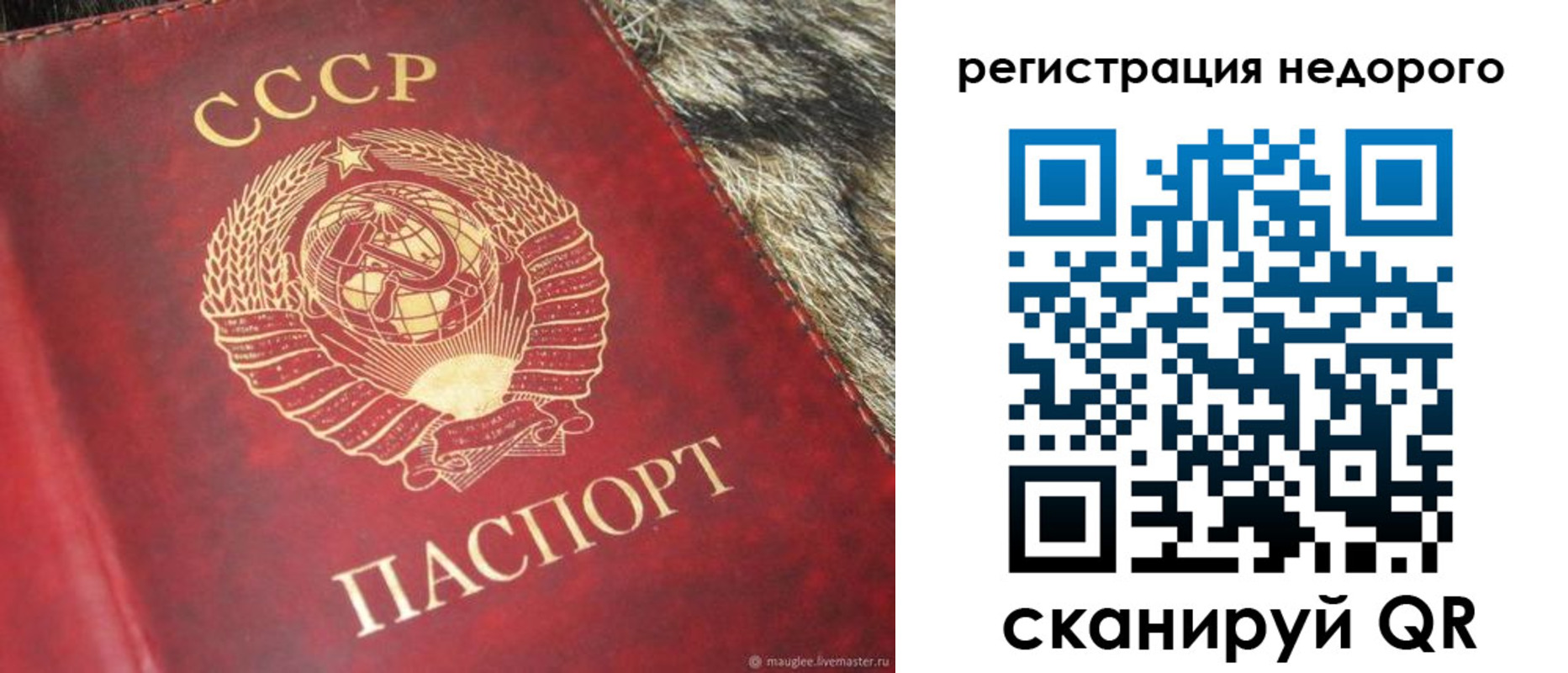 прописка ребенка в Тереке